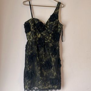 Black lace with green lining BCBGMAXAZRIA dress